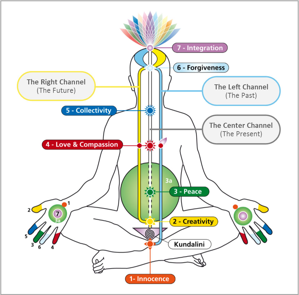 A diagram of the human body with various colors and symbols.
