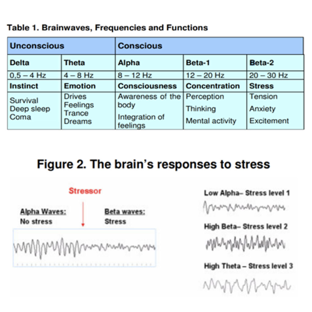A table with two different types of brain waves.